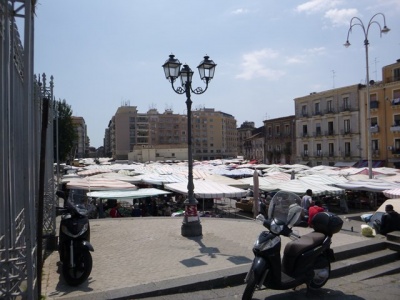 P1000012 (Kopie).JPG