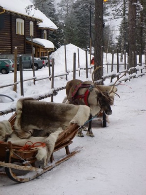 P1000083.JPG