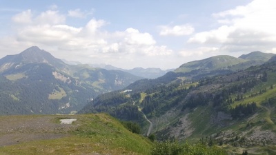 20190721_104711.jpg