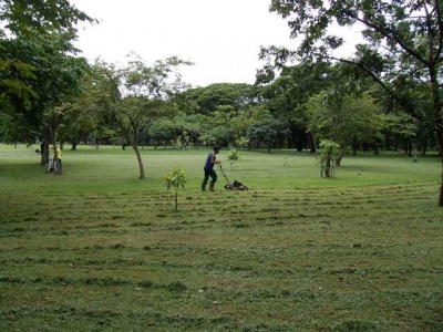 GEDC0015 .JPG
